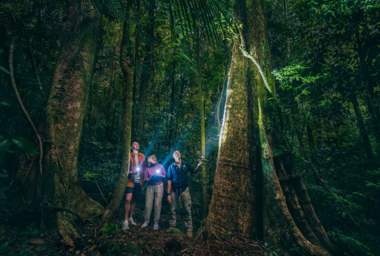 Tour guidato nel Daintree Rainforest National Park, Queensland © Tourism and Events Queensland