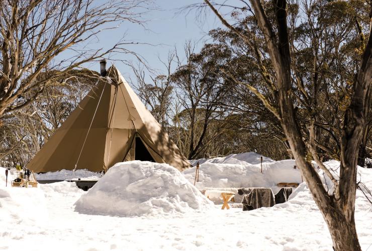 Alpine Nature Experience, Mt Hotham, Victoria © Georgie James Photography
