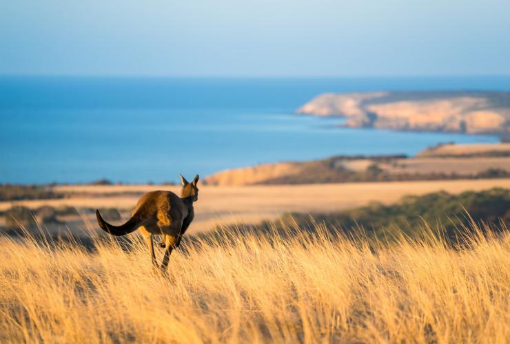 Middle River, Kangaroo Island, South Australia © Ben Goode