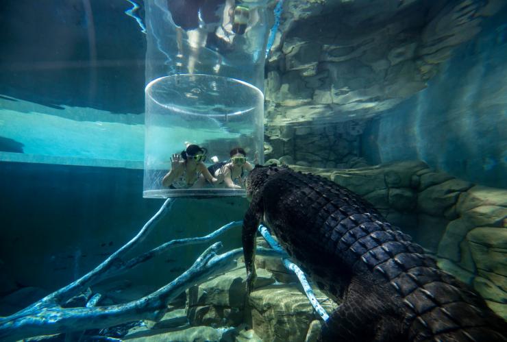 Crocosaurus Cove, Darwin, Northern Territory © Tourism NT/Shaana McNaught