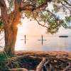 クイーンズランド州、ヌーサ、パドルボード © Tourism and Events Queensland