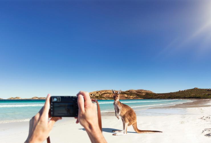 西オーストラリア州、ケープ・ル・グラン国立公園、ラッキー・ベイ © Tourism Australia
