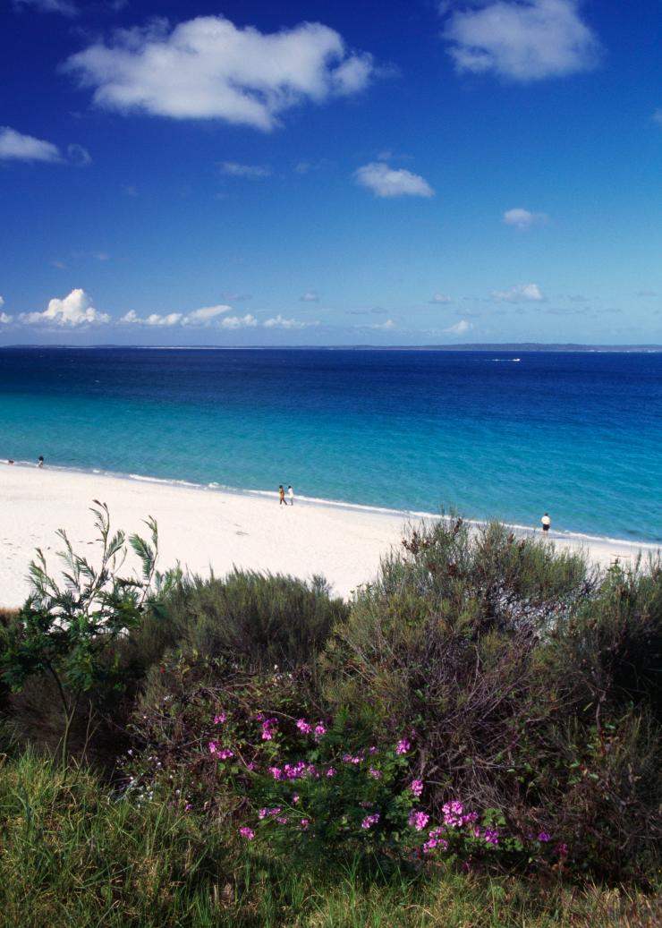 ニュー・サウス・ウェールズ州、ジャービス・ベイ、ハイアムス・ビーチ © Tourism Australia