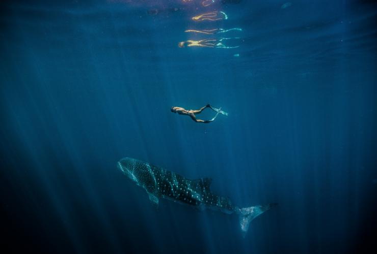 西オーストラリア州、ニンガルーリーフ © Tourism Western Australia