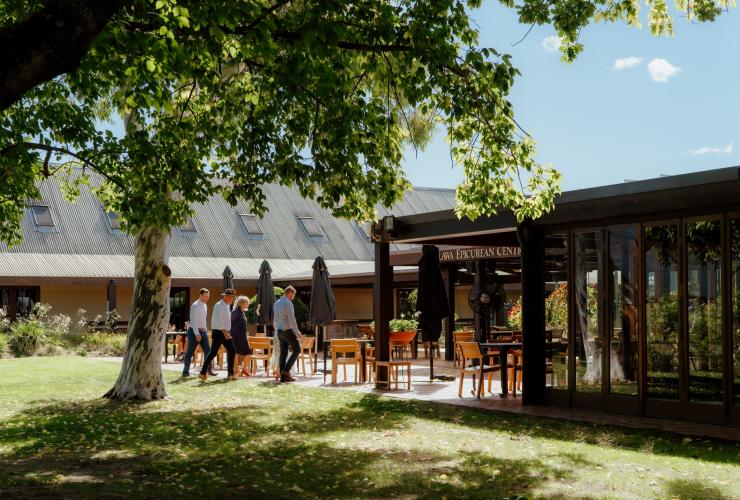 ビクトリア州、キング・バレー、ブラウン・ブラザーズ © Tourism Australia
