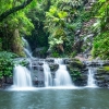 クイーンズランド州、ラミントン国立公園、エラバナ滝 © Tourism and Events Queensland