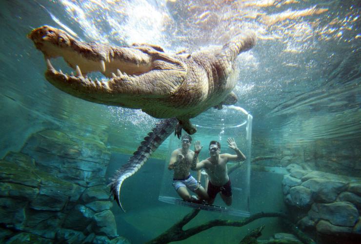 ノーザンテリトリー、ダーウィン、クロコザウルス・コーブ © Tourism NT/Shaana McNaught