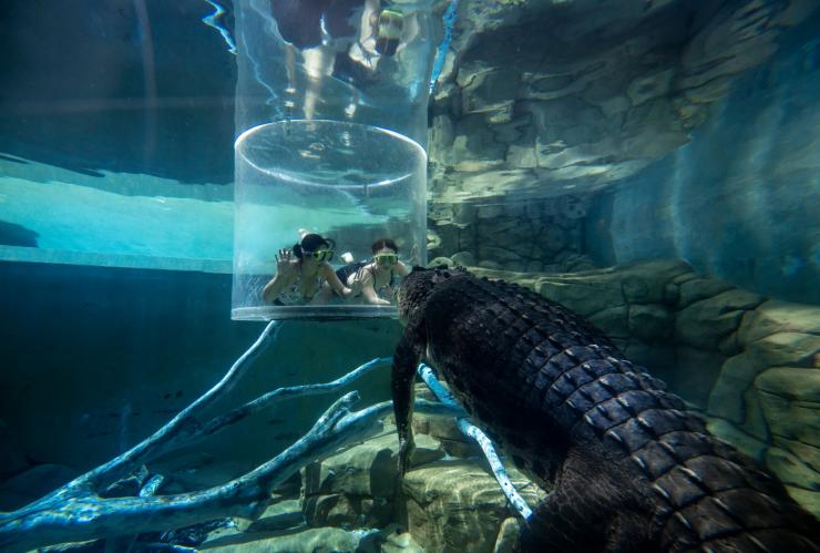 ノーザンテリトリー、ダーウィン、クロコザウルス・コーブ © Tourism NT/Shaana McNaught