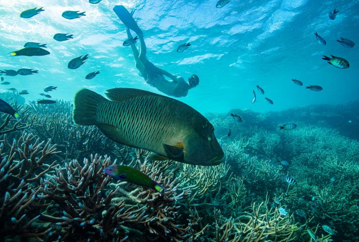 クイーンズランド州、グレート・バリア・リーフ © Tourism and Events Queensland