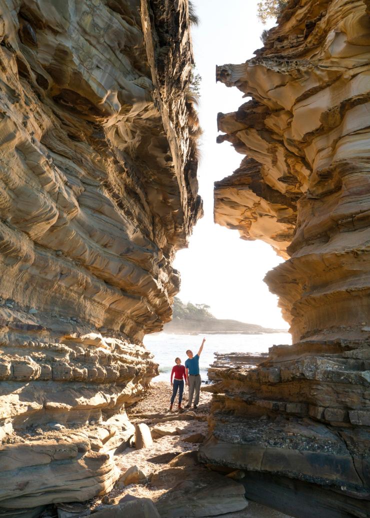 ニュー・サウス・ウェールズ州、ムラマラン国立公園、ワスプヘッド © Destination NSW