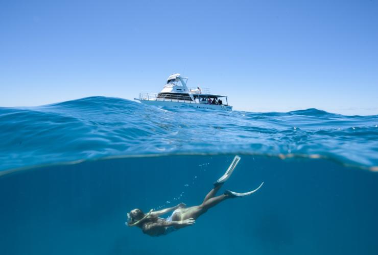 昆士蘭州大堡礁的Lodestone礁Adrenalin Dive and Snorkel©Townsville Enterprise Ltd