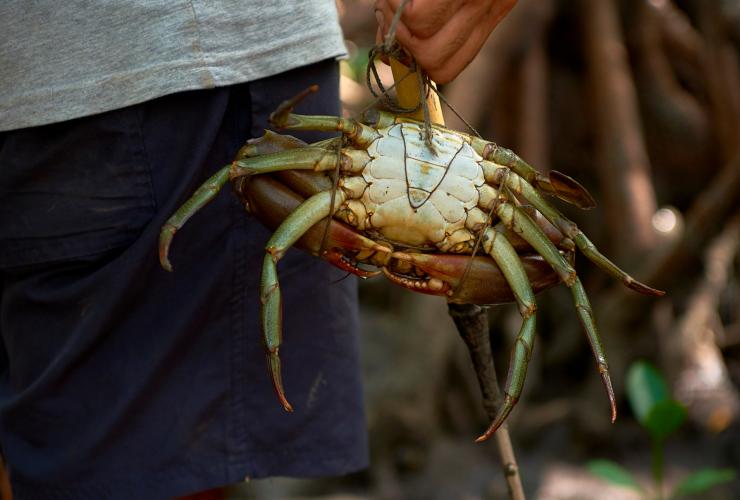 昆士蘭州戴恩樹雨林短程流浪文化冒險之旅的捉泥蟹活動©昆士蘭旅遊及活動推廣局
